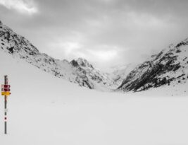 Winterizing Your Trees: Necessary Steps