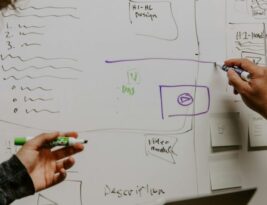 Tree Hydration Strategies through the Seasons