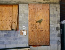 Seasonal Storm Preparation for Trees