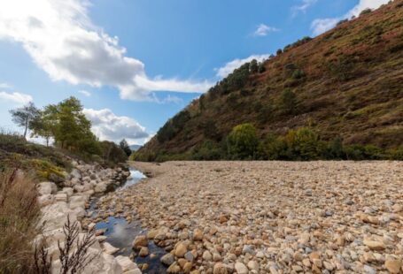 Drought Impact - a river running through a lush green hillside
