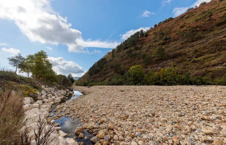 Drought Impact - a river running through a lush green hillside